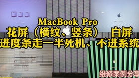 軟硬件的完美搭配 讓你的學(xué)習(xí)工作如虎添翼的電腦推薦